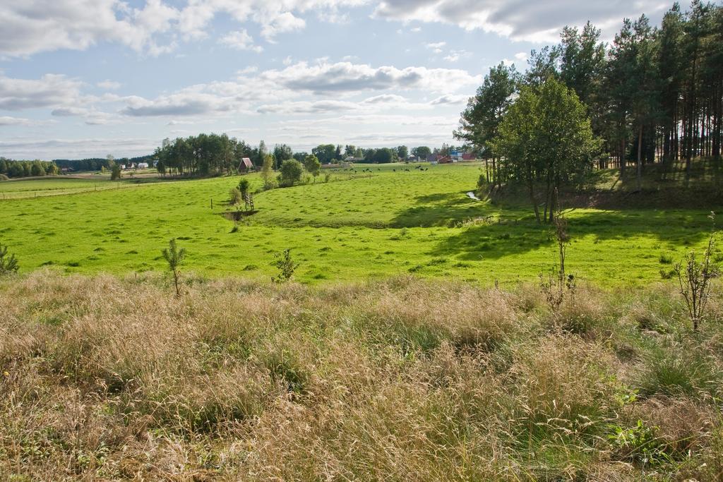 Agroturystyka Sominy Piotr Exteriér fotografie