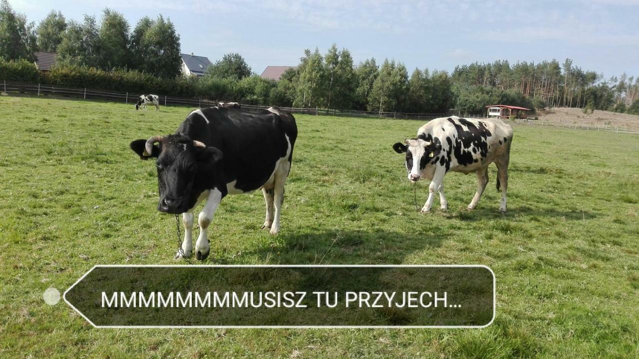 Agroturystyka Sominy Piotr Exteriér fotografie